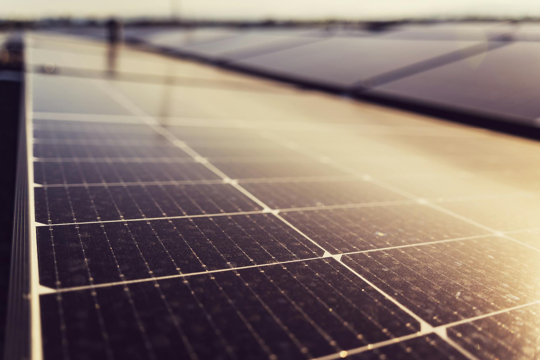 Solar panels - Going Off Grid Guide - Image 1