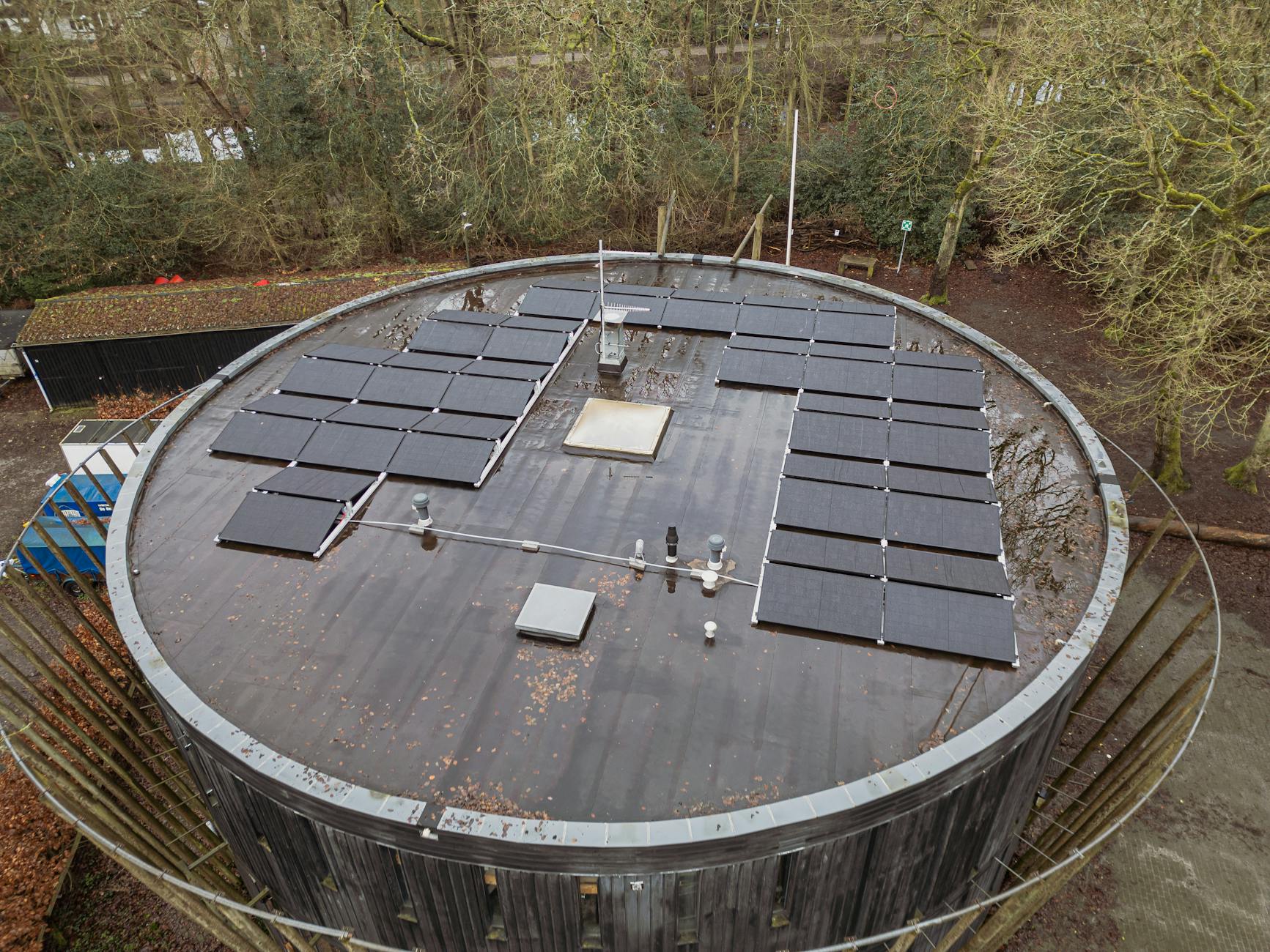 Solar panels - Corpus Christi