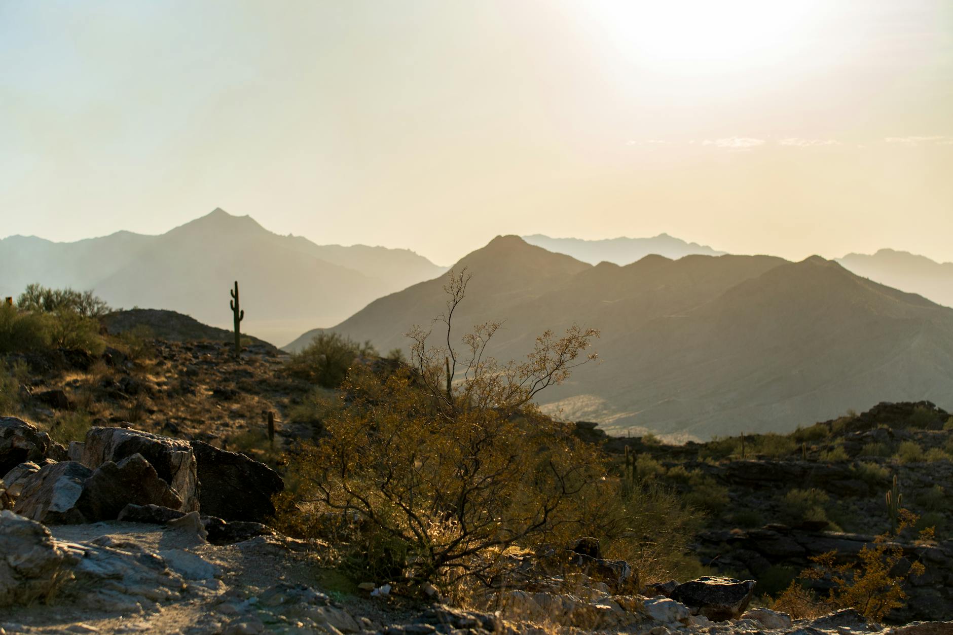 Solar panels - Arizona - Image 1