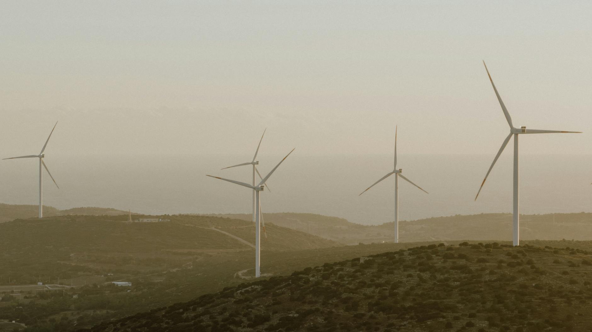 Solar panels - Austin - Image 3