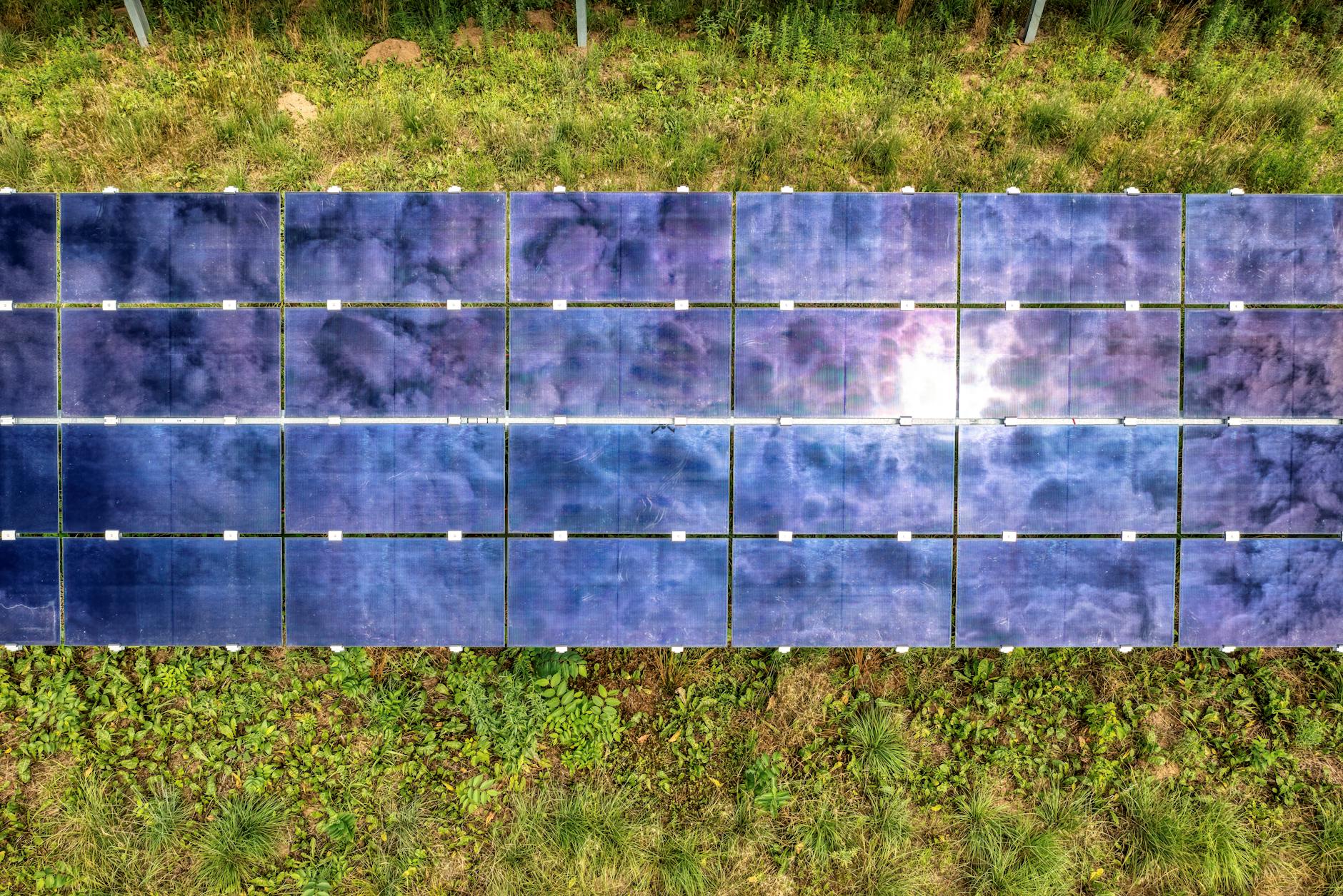Solar panels - Iowa - Image 1