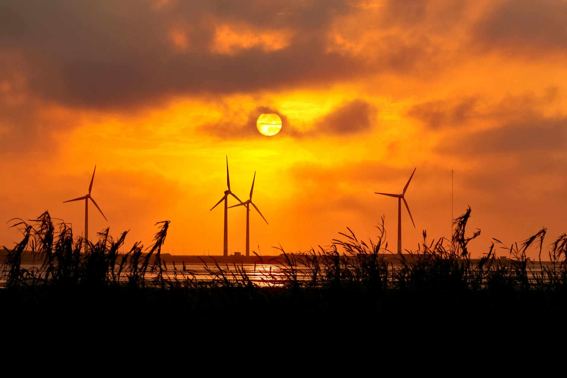 Solar panels - Norfolk - Image 2