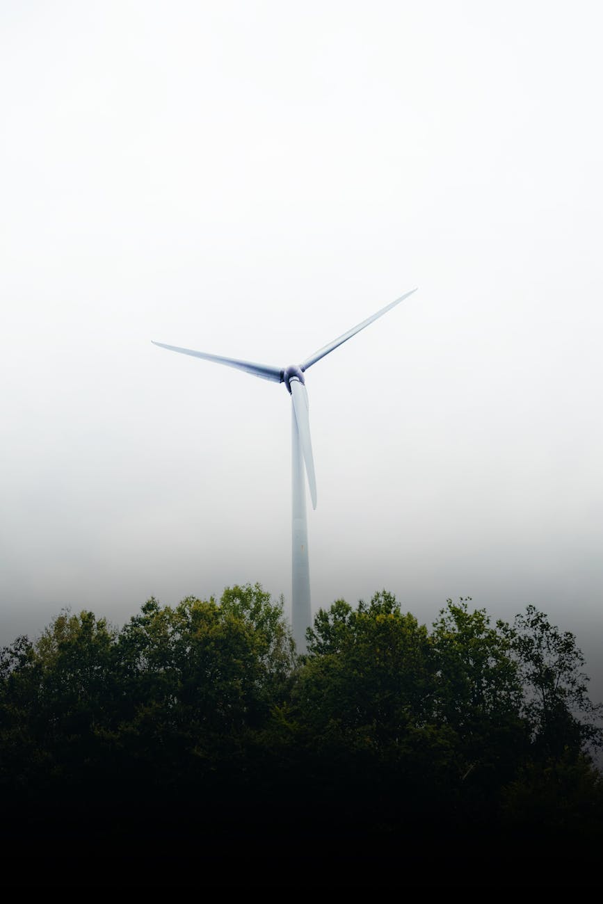 Solar panels - Scottsdale - Image 1