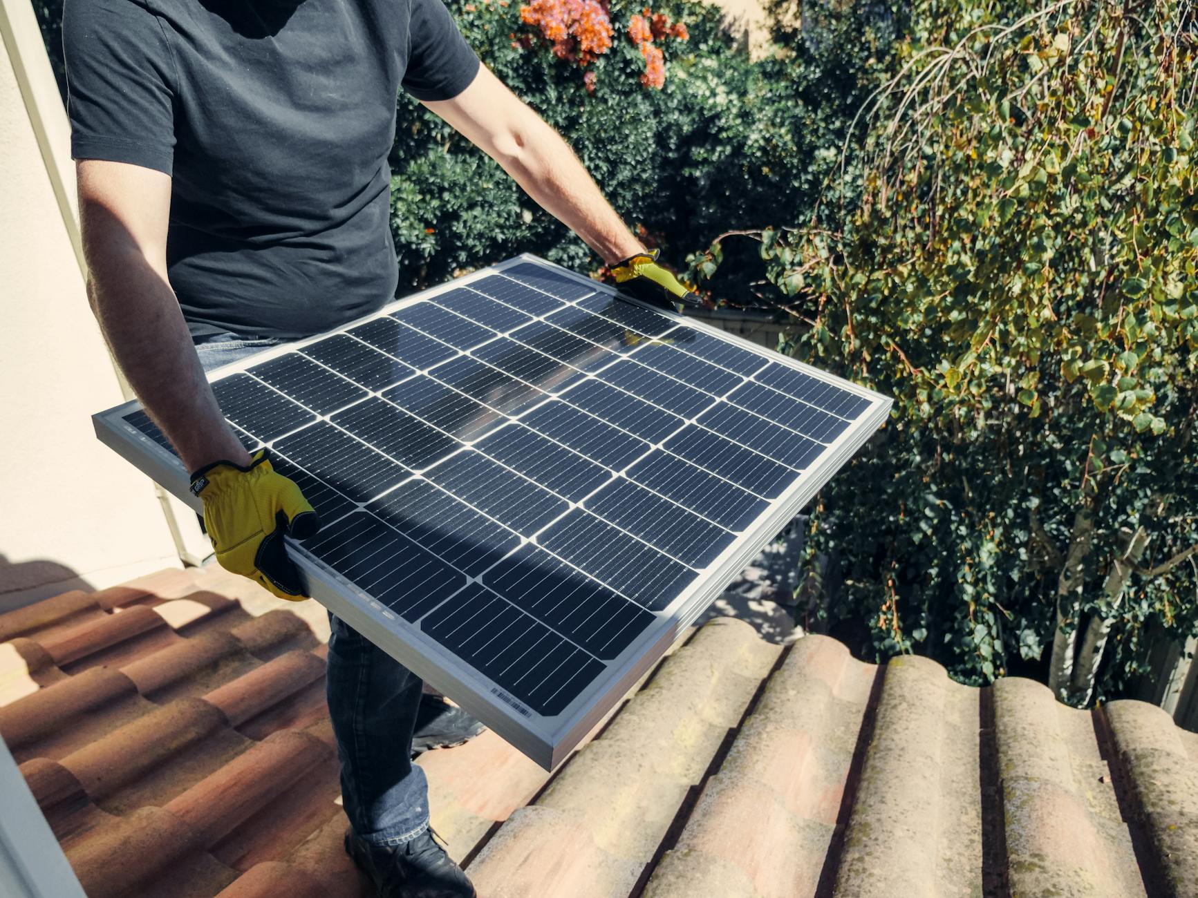 Solar panels - Solar Panel Types Comparison - Image 2