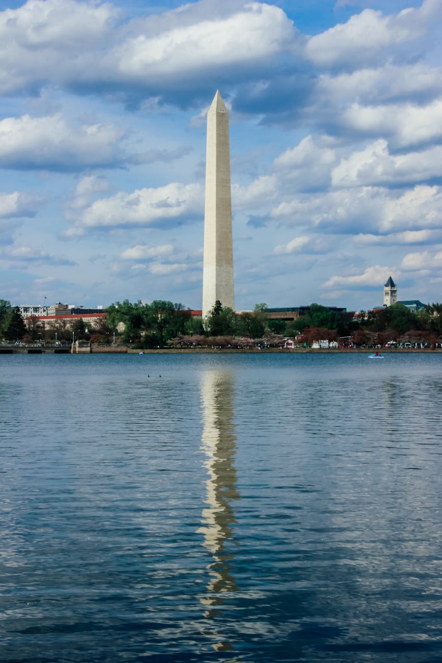 Solar panels - Washington - Image 1